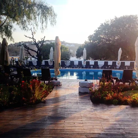 Hotel Mare