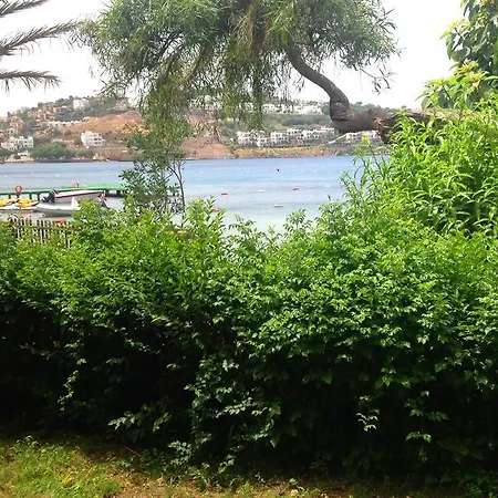 Mare Yalıkavak